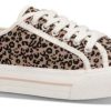 Born CULT | Cult Damesneaker Leopard