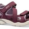 Born ECCO | Ecco Bornesandal Bordeaux 700653 Biom Raft