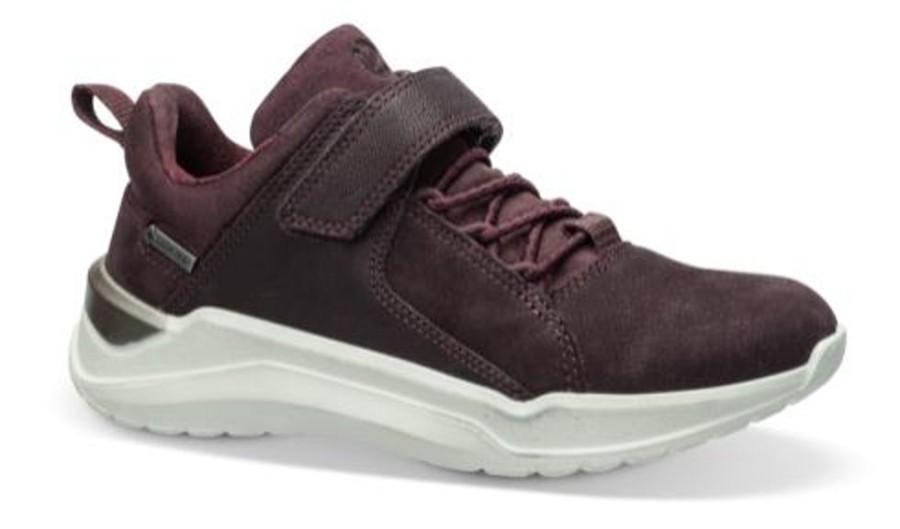 Born ECCO | Ecco Bornesneaker Bordeaux 764632 Intervene