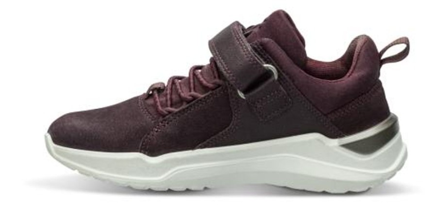 Born ECCO | Ecco Bornesneaker Bordeaux 764632 Intervene